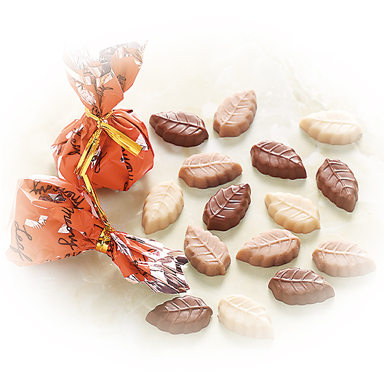 Leaf memory Gift Box 実 (40個入り)｜チョコレートハウス モンロワール