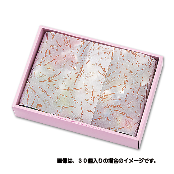 Leaf memory Color Box (20個入り)｜チョコレートハウス モンロワール