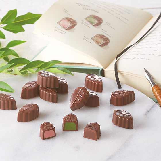 チョコ21個・ミルク21個 Leaf Diary Gift Box (21個入り)｜チョコレートハウス モンロワール