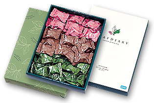 Leaf Diary Gift Box