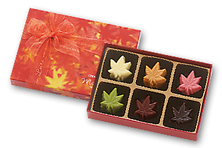 Autumn Color　(30枚入り)