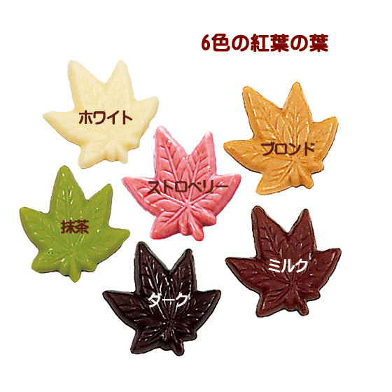 Autumn Color (30枚入り)｜チョコレートハウス モンロワール