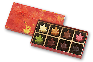 Autumn Color　(40枚入り)