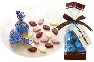 Petit pack　リーフメモリー(青)