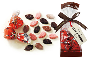 Petit pack　リーフメモリー(赤)