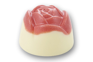 トリュフギフトBOX《select》 (25個入り)｜チョコレート